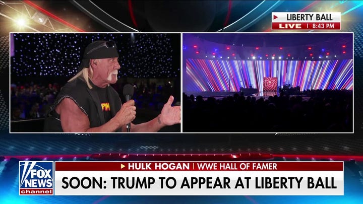 Hulk Hogan: Everybody is 